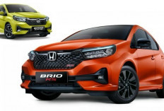 Honda Catat Penjualan 24.000 Unit di Kuartal I/2025, Brio dan HR-V Paling Laris