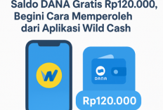 Saldo DANA Gratis Rp120.000, Begini Cara Memperoleh dari Aplikasi Wild Cash