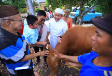 Pererat Silaturahmi Idul Adha Lewat Kurban, Ziarah Keluarga dan Wisata Religi