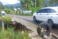 Jalan Provinsi Amblas, Pengendara Was-was   