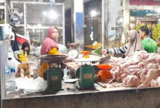 Harga Daging Ayam Merangkak Naik Jelang Idul Adha: Pedagang Bernapas Lega, Konsumen Bersiap
