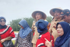 Pemda Lahat Kaji Normalisasi Sungai, Siapkan Irigasi Teknis Pertanian dengan Penjagaan
