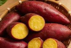 Makan Ubi Setiap Hari, Tubuh Anda Bisa Merasakan 3 Keajaiban Ini
