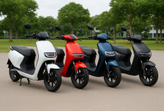 Rekomendasi Motor Listrik Terbaik Oktober 2025, dari Harga Terjangkau hingga Premium