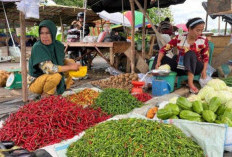 Harga Cabai di Pasar Pulau Emas Turun