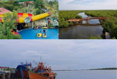 Langsa Tawarkan 7 Destinasi Wisata Hits 2025, dari Mangrove Terluas hingga Waterpark Modern