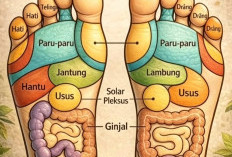 Rahasia Kesehatan dari Telapak Kaki, Mengenal Refleksi Kaki dan Titik Organ Tubuh