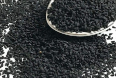 Tanaman Obat Biji Wijen Hitam, Kekuatan Tersembunyi untuk Tulang Kokoh dan Anti-Inflamasi