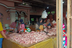 Harga Daging Ayam Potong Naik, Tembus 35 Ribu Perkilo