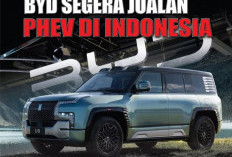 BYD Menjual Empat Model Mobil Listrik Murni di Indonesia, Terjual 15.000 unit Sepanjang Tahun 2024