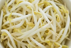 5 Manfaat Tauge untuk Lansia, Sayuran Sederhana yang Menjaga Tubuh Tetap Sehat di Usia Senja