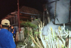 Rumah Milik Lansia Kebakaran di Desa Cecar Kikim Timur, Kerugian Mencapai Ratusan Juta