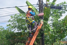 PLN Gerak Cepat Respon Laporan Warga, Perbaiki posisi Kabel yang rendah