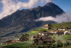 Mengintip Alasan Dataran Tinggi Dieng Diusulkan Tempat Wisata