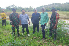 Kementan Pastikan Program Pompanisasi di Lahat, Dinas TPHP Bidik 7 Kecamatan Jadi Lahan Percontohan Pertanian