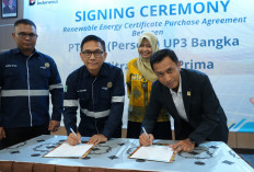 Gunakan Listrik PLN, Industri Timah di Bangka Belitung Lebih Efisien & Siap Raih PROPER Emas