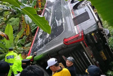 Bus Menuju Sumbar Masuk Jurang di Gumay Talang, Satu Penumpang Meninggal Dunia