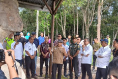 Wakil Kepala Staf Kepresidenan RI Kagum dengan Situs Megalit Lahat