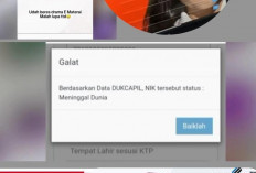 2 Hari Lagi! Pendaftaran CPNS di Tutup. Yuk Simak Kejadian-kejadian Lucu