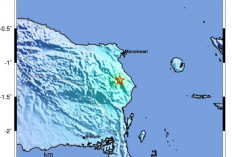 Gempa Bumi Tektonik M5 Melanda Manokwari Papua Barat, BMKG : Tak Berpotensi Stunami