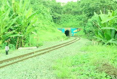 Ada Yang Tau Terowongan Kereta Api Terpanjang di Sumsel! Lokasinya Daerah Tetangga Kabupaten Lahat Loh 