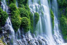  Mengintip Keindahan Cughup Maung Air terjun Terindah di Kecamatan Gumay Ulu Lahat