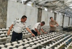 Lapas Empat Lawang Sulap Lahan Kosong Jadi Kebun Produktif, Warga Binaan Budidaya Melon dan Hidroponik