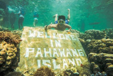 Asiknya Menikmati Keindahan Pulau Pahawang, ada Surga Tersembunyi di Lampung