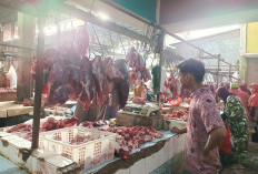 Sempat Naik! Harga Daging Sapi Kembali Normal 