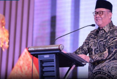 Wagub Sumsel Apresiasi Pengurus DPD Gebu Minang