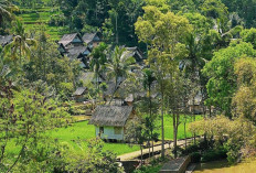 Merinding! Ini Dia 3 Desa Mati di Indonesia