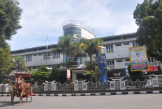de-Kock Andani