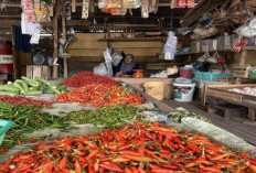 Harga Cabai di Pasar Pulau Emas Kembali Naik