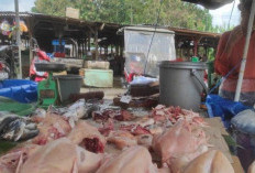 Sempat Turun! Harga Daging Ayam Kembali Naik di Empat Lawang