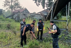 Sedang Mencari Pakan Ternak, Tiga Orang Tersengat Listrik, 1 Meninggal Dunia