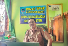 Hasil Panen di Lahat Memuaskan