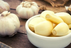 7 Manfaat Tanaman Obat Bawang Putih Untuk Kesehatan Tubuh, Salah Satunya Menurunkan Resiko Penyakit Jantung