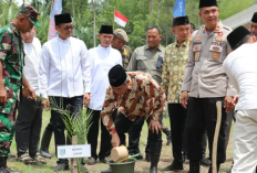 Doa, Pohon, dan Ikan yang Dilepas