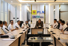 PLN UID S2JB dan PLN Icon Plus Penuhi Kebutuhan Layanan Internet di Sumatera Selatan, Jambi, dan Bengkulu