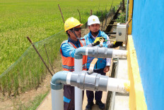 Electrifying Agriculture Hadir di Seluma Bengkulu, Dukung Program Ketahanan Pangan Nasional