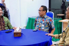 Pj Gubernur Sumsel Bersilahturahmi dengan BPKP RI