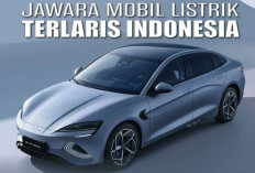 Penjualan Mobil Listrik di Indonesia Tunjukan Pencapaian Positf, Ini Loh 10 Mobil Listrik Terlaris di Indonesi