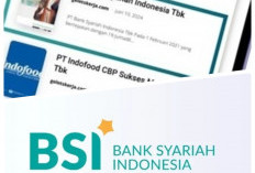 Lowongan Kerja Program Magang PT BSI, Terbuka untuk Diploma dan S1, Ayo Buruan Daftar! 