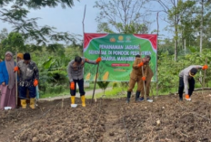 Polres Empat Lawang Tanam Bibit Jagung di Ponpes Darrul Mahabbah, Dukung Ketahanan Pangan Nasional