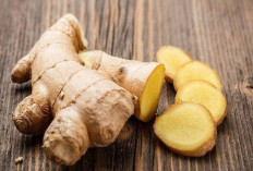 Manfaat Tanaman Obat Jahe untuk Kesehatan yang Jarang Diketahui
