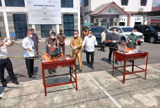 Kejari Empat Lawang Musnahkan Barang Bukti 45 Perkara, Tegaskan Komitmen Penegakan Hukum Yang Profesional