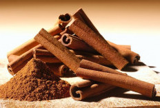 Kayu Manis! Tanaman Obat Ajaib untuk Kontrol Gula Darah dan Kulit Sehat Saat Diet