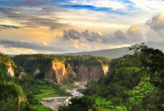 Keindahan Ngarai Sianok : Permata Alam di Bukittinggi