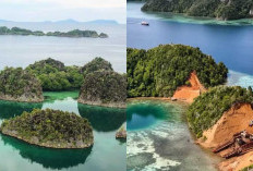 6 Rekomendasi Wisata di Pulau Papua di Bulan Juli 2025, Nomor 5 Masih Primadona Meski Pernah Ada Tambang Nikel