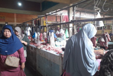 Harga Daging Sapi Naik